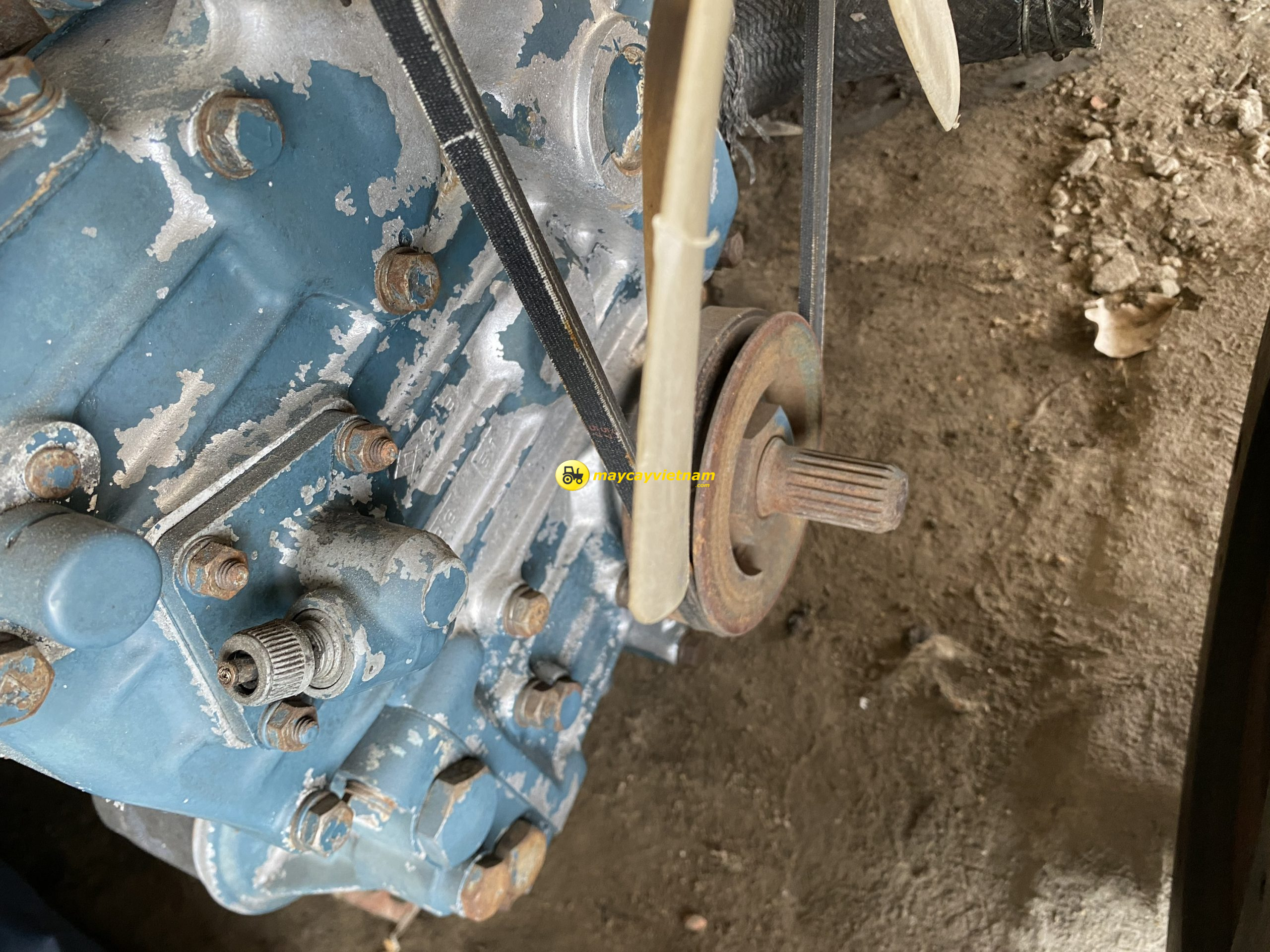 Động cơ Kubota D1115 - Hình ảnh 2