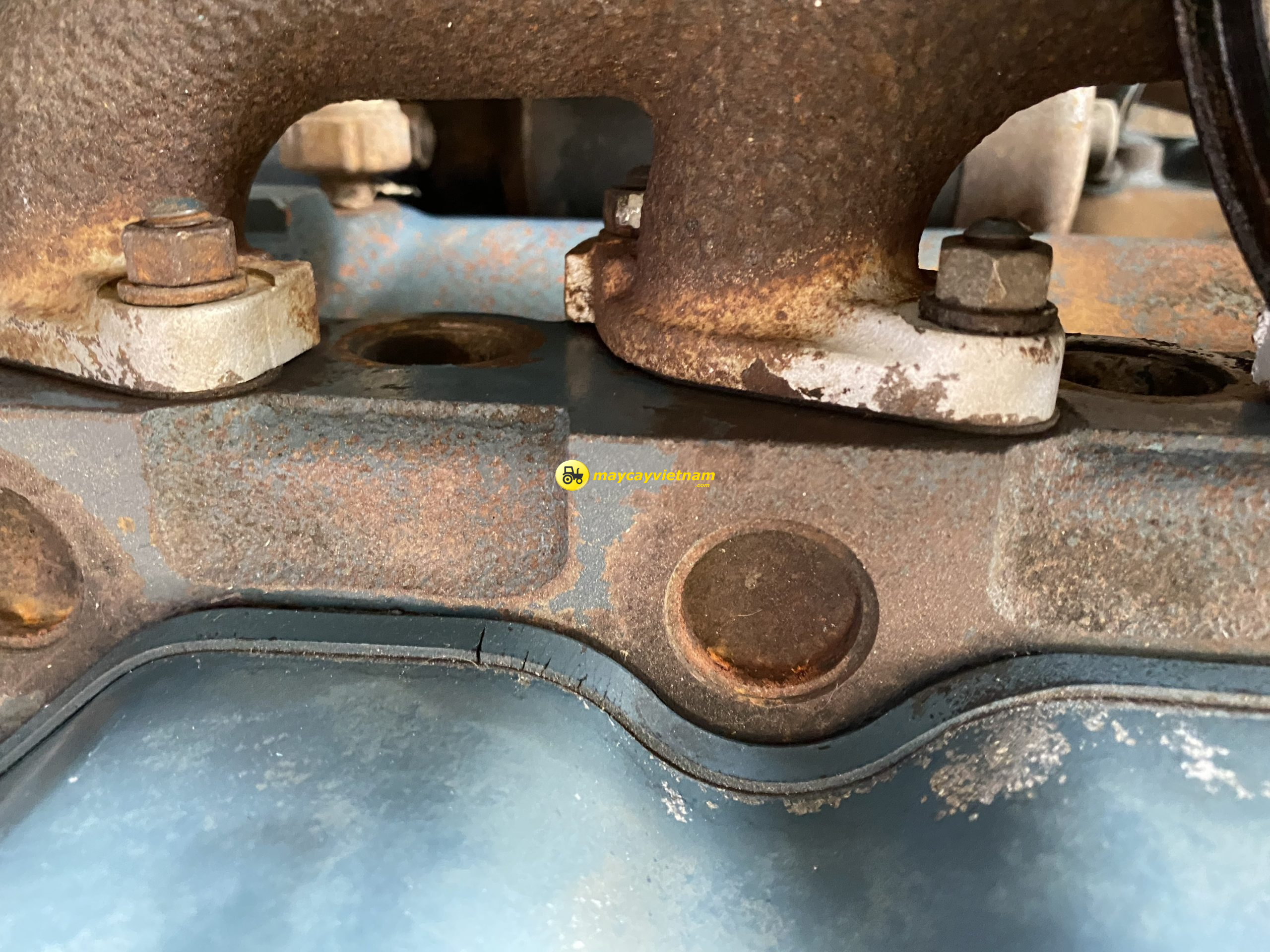 Động cơ Kubota D1115 - Hình ảnh 3