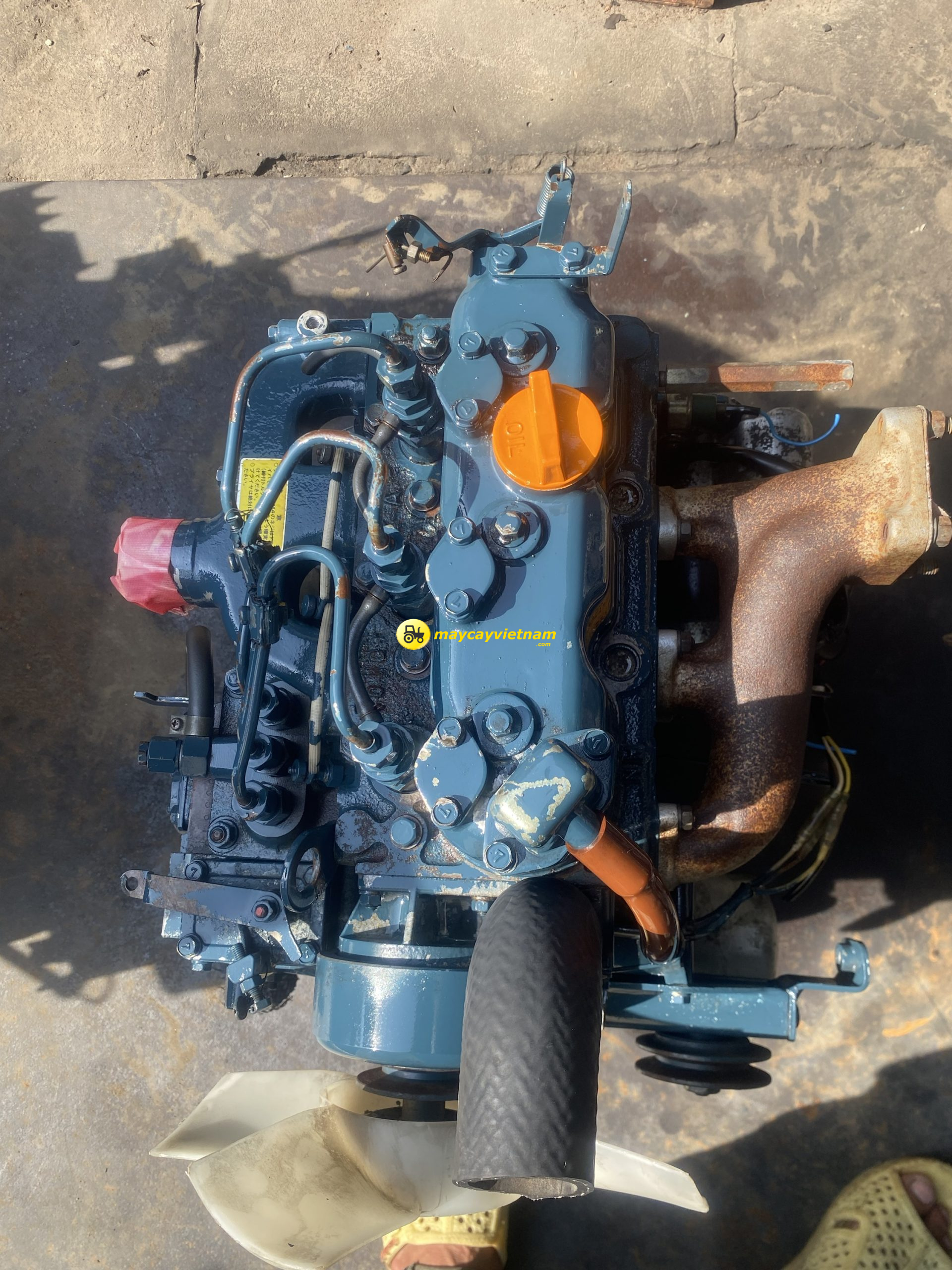 Động cơ Kubota D837 - Hình ảnh 2